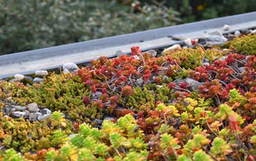 the cost of Little Budworth green roof installation