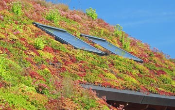 Little Budworth living roof systems